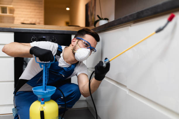 Trusted Little Ferry, NJ Pest Control Experts