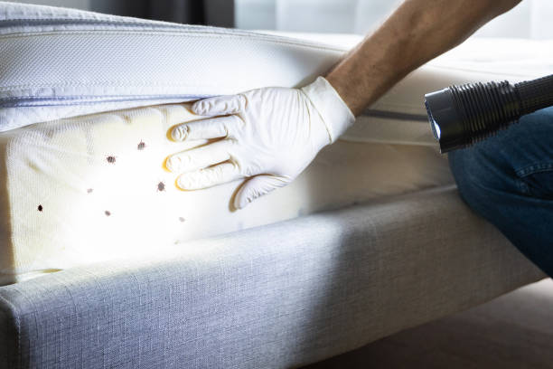 Best Pest Prevention Services  in Little Ferry, NJ
