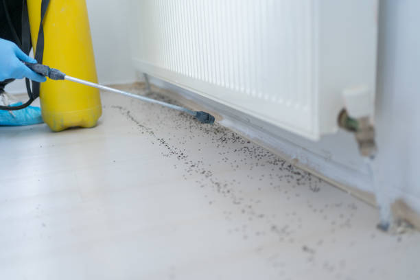 Best Commercial Pest Control Services  in Little Ferry, NJ